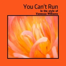 Cover art for You Can't Run - Vanessa Williams karaoke version
