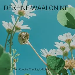 Cover art for Dekhne Waalon Ne - Alka Yagnik,Chori Chori Chupke Chupke,Udit Narayan karaoke version