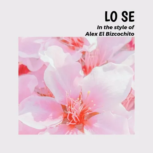 Lo Se - Karaoke