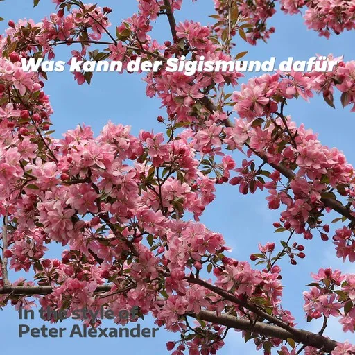 Karaoke Was kann der Sigismund dafür von Peter Alexander — mit Songtext mitsingen auf Singa