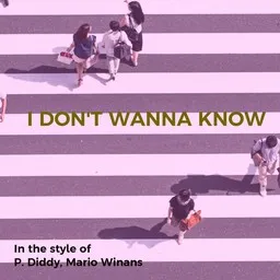 Cover art for I Don't Wanna Know - Diddy,Mario Winans karaoke version
