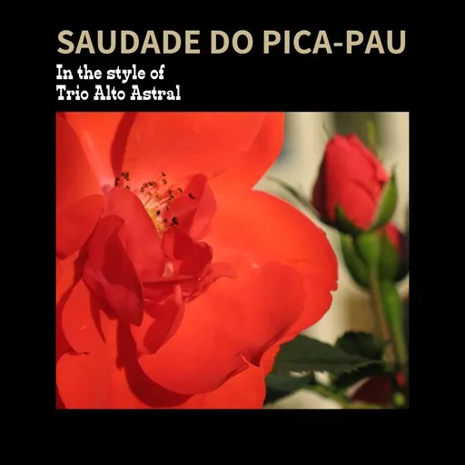 Karaoke Saudade Do Pica-Pau by Trio Alto Astral — sing along with lyrics on Singa