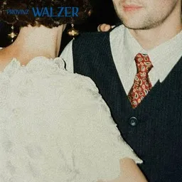 Cover art for Walzer - Provinz karaoke version