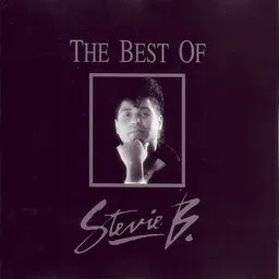 Stevie B - Karaoke