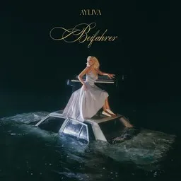 Titelbild für Beifahrer - AYLIVA Karaoke-Version