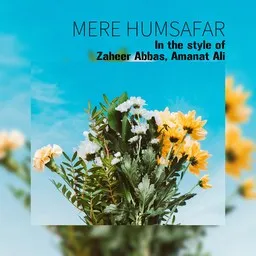 Omslagsbild för Mere Humsafar - Amanat Ali,Zaheer Abbas karaokeversion
