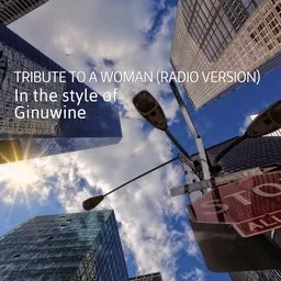 Omslagsbild för Tribute To A Woman (Radio Version) - Ginuwine karaokeversion