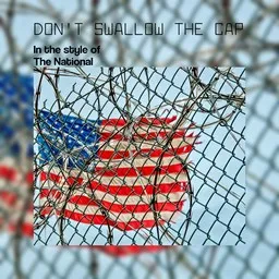 Titelbild für Don't Swallow the Cap - The National Karaoke-Version