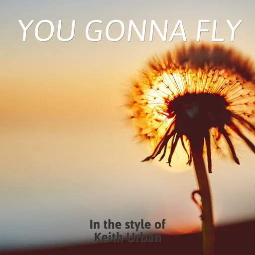 You Gonna Fly - Karaoke