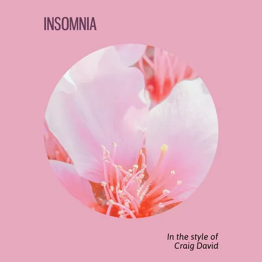 Karaoke Insomnia by Craig David — sing along with lyrics on Singa