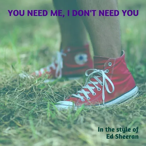 Karaoke You Need Me, I Don't Need You von Ed Sheeran — mit Songtext mitsingen auf Singa