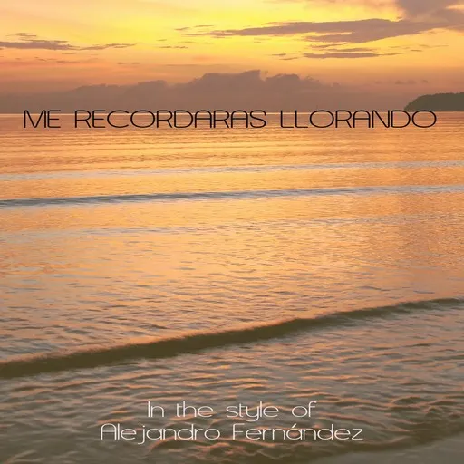 Me Recordaras Llorando - Karaoke