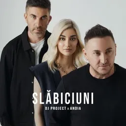 Titelbild für Slăbiciuni - Andia,DJ Project Karaoke-Version