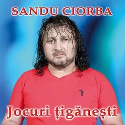 Titelbild für Sandu Ciorba