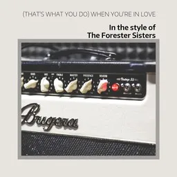 Titelbild für (That's What You Do) When You're In Love - The Forester Sisters Karaoke-Version