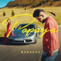 Cover art for Papaya - Babasha karaoke version