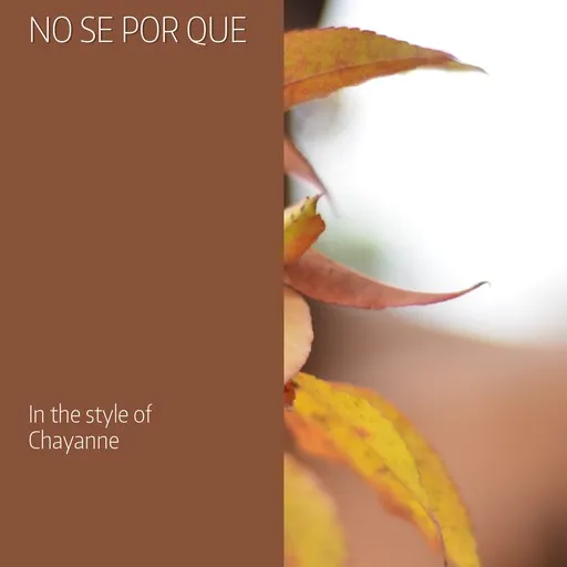 No Se Por Que - Karaoke