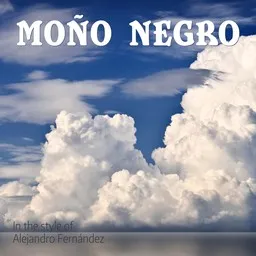 Cover art for Moño Negro - Alejandro Fernández karaoke version