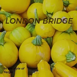 Titelbild für London Bridge - Fergie Karaoke-Version