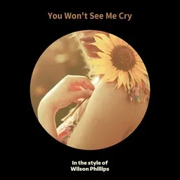 Cover art for You Won't See Me Cry - Wilson Phillips karaoke version