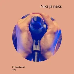 Cover art for Niks ja naks - Stig karaoke version