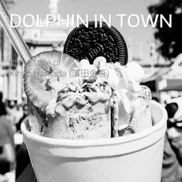 Cover art for Dolphin in Town - Kingo Hamada (濱田金吾) karaoke version