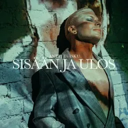 Cover art for Elämä tuulee beibi - Antti Tuisku karaoke version