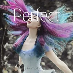 Titelbild für Perfect - The Smashing Pumpkins Karaoke-Version