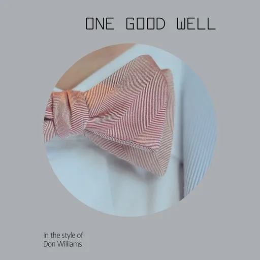 One Good Well - Karaoke