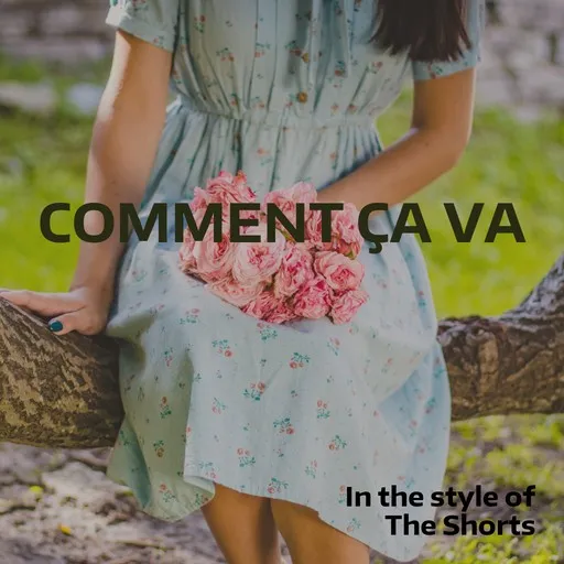 Karaoke Comment ça va by The Shorts — sing along with lyrics on Singa