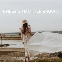 Cover art for Knees Up Mother Brown - Piano Singalong karaoke version