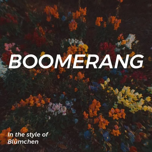 Karaoke Boomerang by Blümchen — sing along with lyrics on Singa