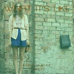 Cover art for What It's Like - Everlast karaoke version