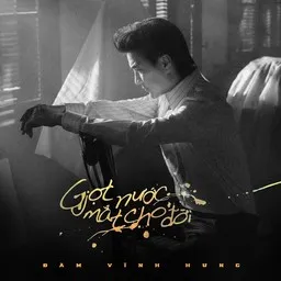 Cover art for Ai đưa em về - Đàm Vĩnh Hưng karaoke version