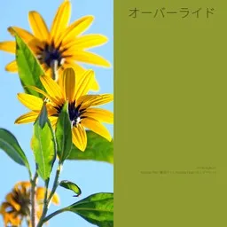 Titelbild für オーバーライド - Kasane Teto (重音テト),Yoshida Yasei (ヨシダヤセイ) Karaoke-Version