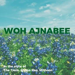 Omslagsbild för Woh Ajnabee - Mithoon,Shilpa Rao,The Train karaokeversion