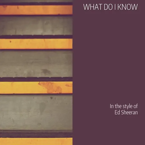 What Do I Know - Karaoke