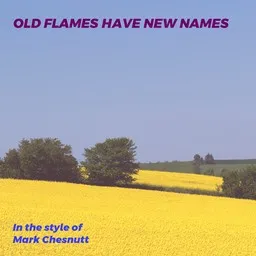Titelbild für Old Flames Have New Names - Mark Chesnutt Karaoke-Version