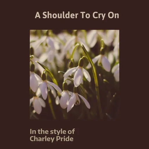 A Shoulder To Cry On - Karaoke