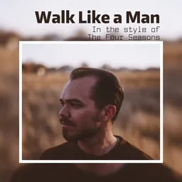 Cover art for Walk Like a Man - The Four Seasons karaoke version
