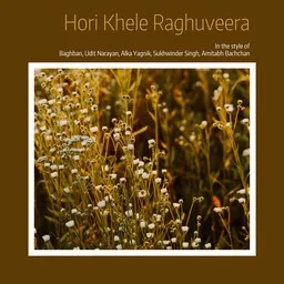 Titelbild für Hori Khele Raghuveera - Alka Yagnik,Amitabh Bachchan,Baghban,Sukhwinder Singh,Udit Narayan Karaoke-Version