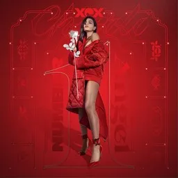 Cover art for Babygirl - Charli XCX,Uffie karaoke version