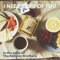 Titelbild für I Need More Of You - The Bellamy Brothers Karaoke-Version
