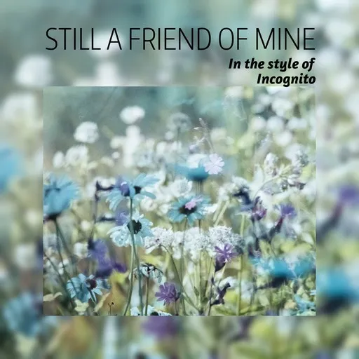 Karaoke Still a Friend of Mine by Incognito — sing along with lyrics on Singa