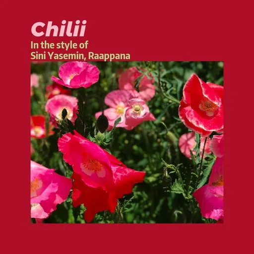 Chilii - Karaoke