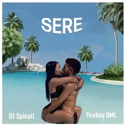 Omslagsbild för Sere - Fireboy DML,Spinall karaokeversion
