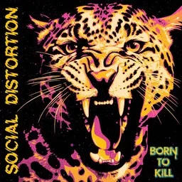 Social Distortion - Karaoke