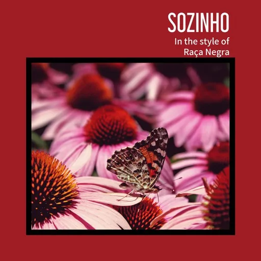 Sozinho - Karaoke