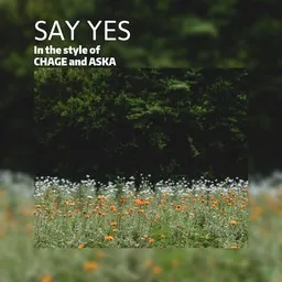 Titelbild für SAY YES - CHAGE and ASKA Karaoke-Version