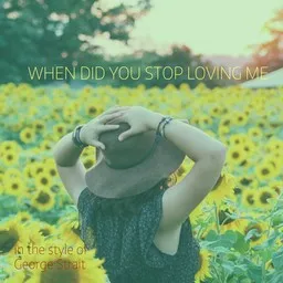 Titelbild für When Did You Stop Loving Me - George Strait Karaoke-Version